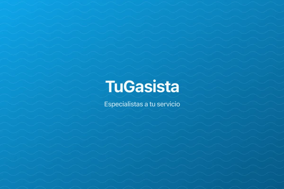 Asesoramiento profesional